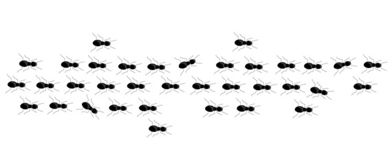 Ant trail marching in row. Insect path in different direction. Vector silhouette illustration