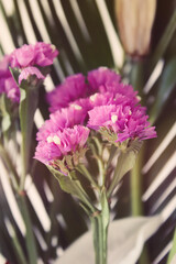 Bouquet of garden summer flowers close up. 