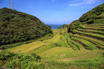 浜野浦の棚田　佐賀県唐津市