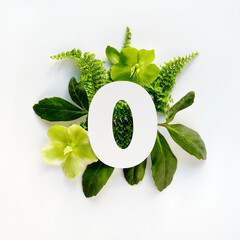Number zero, cut out of white paper. White and green helleborus winter rose flowers, fern leaves...