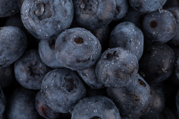blueberries with water drops close up