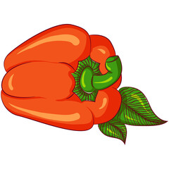 Vector cartoon illustration of whole red pepper paprika isolated on white. Fresh vegetables. Healthy vegetarian food, diet meal. Food Icon. Design for cookbook, restaurant business.