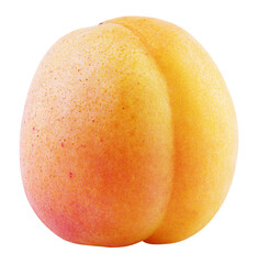 Single whole apricot or yellow plum fruit isolated on white background with clipping path. Full depth of field.