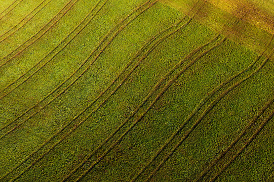 Drone view of green mowed field