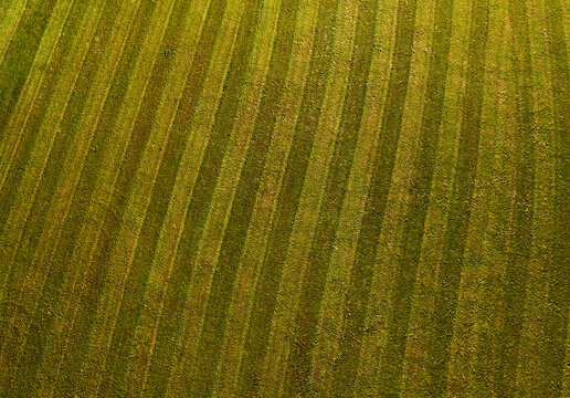 Drone view of green mowed field
