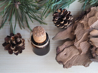 Pine bark, oil in a bottle, twigs and pine cones on a light pine wood background. Simple rustic...