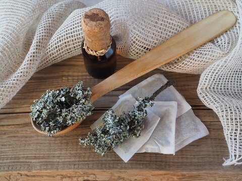 Medicinal herb moss lichen in a spoon, tea bags, drinking extract on a wooden background, top view, flat layout. Useful plant parmelia sulcata for use in medicine, homeopathy and cosmetology