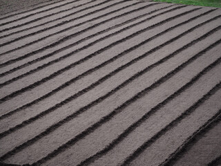 Background and texture of arable land with even rows for planting crops. Seasonal preparation of eco cropland for farming, rural landscape with empty cultivated land