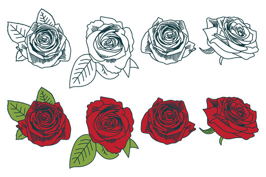Roses tattoo vector cartoon set.