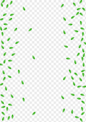 Green Leaf Background Transparent Vector. Plant Garden Frame. Environmental Texture. Light Green Organic Card. Foliage Space.