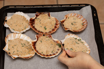 Baking tray with pastries mixture on sea shells