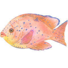 Colorful exotic fishes. Hand painting watercolor illustration.