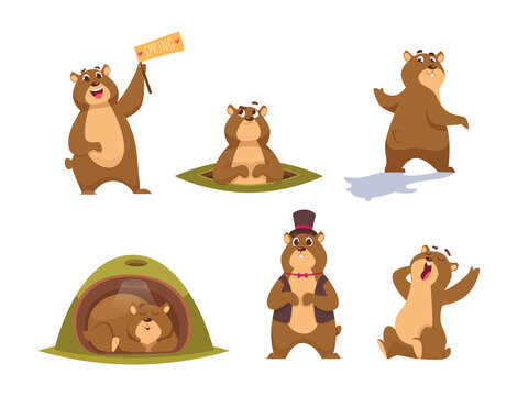 Groundhogs. Wild funny animal symbols of groundhog day time loop characters exact vector flat illustrations in cartoon style