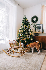 Curious dog looking for something in a basket with Christmas toys at home.