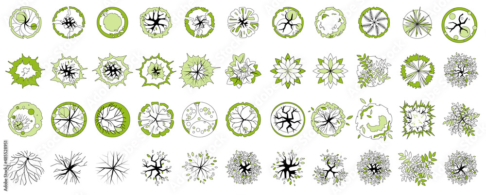 Wall mural trees and plants top view. icon set of colored trees and grass for architectural and landscape desig