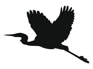Grafika wektorowa przedstawiająca czaplę w locie utworzona poprzez wyizolowanie z fotografii zarysów ptaka i zastosowanie czarnego wypełnienia. - obrazy, fototapety, plakaty
