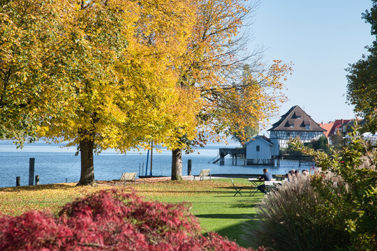 Herbst am Ufer von Bodman am Bodensee
