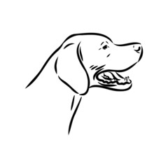 Dog Hand Drawn. Pointer. Vector illustration isolated