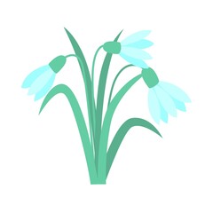 Fototapeta na wymiar Snowdrops spring primrose isolated vector illustration. Delicate little forest flowers. Bouquet of field flowering