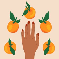 Female hand with oranges on a light background. Summer mood. Hand-drawn, cartoon style, flat design.