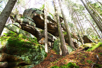 Góry stołowe -skały w lesie © Przemysaw