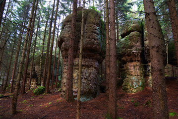 Góry Stołowe Polska - skały w lesie © Przemysaw