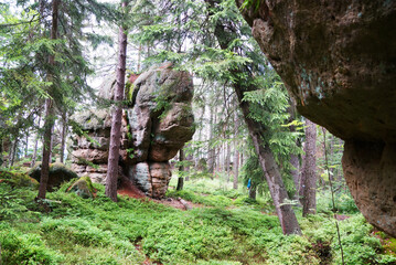 Góry Stołowe Polska przez las © Przemysaw