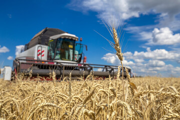 Combine Harvester Working on a Field. Seasonal Harvesting the Wheat, Soy. Agriculture. Farm. Crop....