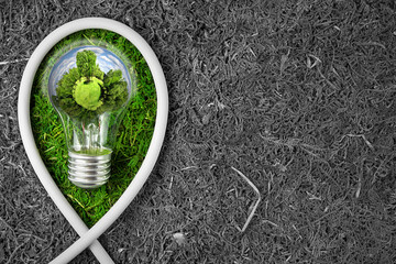 Concept Ecology and Protection Environment. Earth Day Celebration. Green energy. Green light bulb with 3d Green Planet with a trees, grass and blue sky, against the background of dried grass.