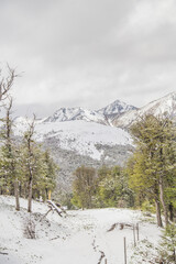 snow covered mountains