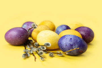 Easter eggs and willow branches on a yellow background. Concept. Painted colorful eggs. Photo