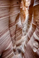 Foto op Plexiglas Zebra Canyon in Utah in the USA © Fyle
