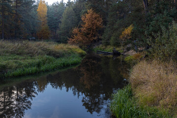 Landscape with a small river in the autumn forest. A river in a fairy forest with bright and rich colors. autumn colors in a dark forest.