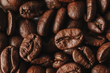 coffee beans close-up. light roast