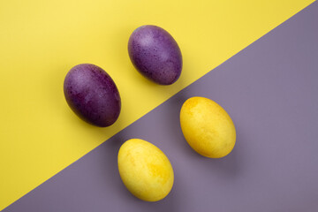 Easter eggs on a yellow-purple background. Concept. Painted eggs. Photo