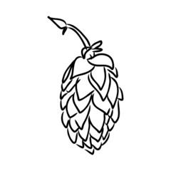 illustration of beer hop in engraving style. Design element for poster, label, sign, emblem, menu. Vector illustration