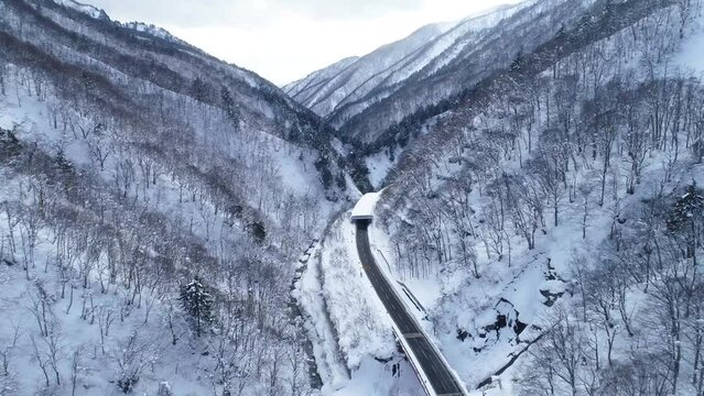 冬の山の道路