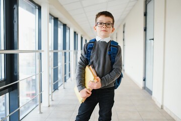 Portrait of happy school student. Smart elementary school kid glasses standing in school. Little child in holding a book.