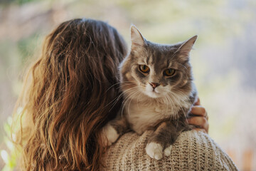 Beautiful fluffy gray cat pet with yellow eyes sitting in the arms of the woman