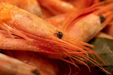 Atlantic shrimp cooked with allspice and bay leaf close-up, surface texture.