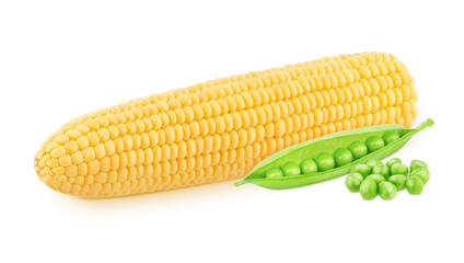 Composition with fresh whole corn and green pea isolated on a white background.