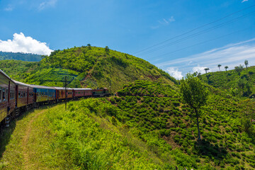The view of railway, Sri Lanka