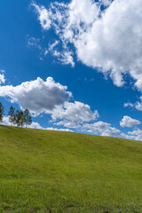 Green beautiful meadow country style on a bright day  with cloudy sky