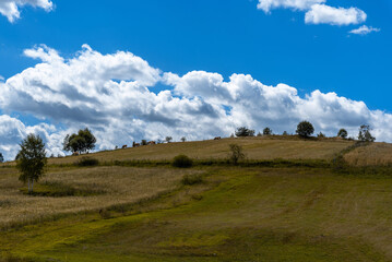 Obraz premium Mountain meadows with blue sky and green garss