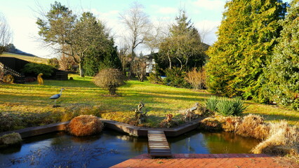 Fototapeta premium malerischer sonniger Gartenteich im Winter an roter Terrasse mit Holzbrücke, Wiese und Bäumen mit Raureif