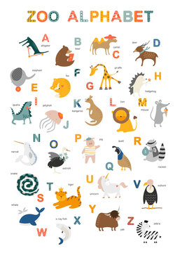 Cute English zoo alphabet for children with letters and titles. Funny pets for kids. Educational set for school and learning © Sonya Lustra