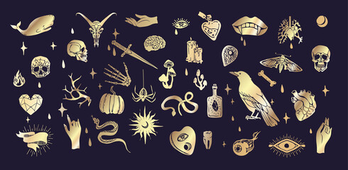 Set of boho hand drawn mystical magic set. Esoteric doodle elements and logo icons with hands, raven dagger. Black outline style. Abstract vector illustration © merfin