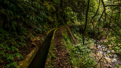 Obraz premium Madeira - Santo Da Serra 