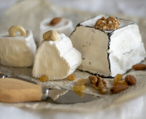 Various types of cheese with white mold on packaging paper.