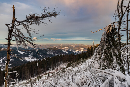 View near Kiczory hill summit in winter Beskid Slaski mountains